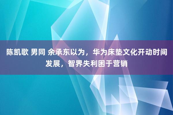 陈凯歌 男同 余承东以为，华为床垫文化开动时间发展，智界失利困于营销