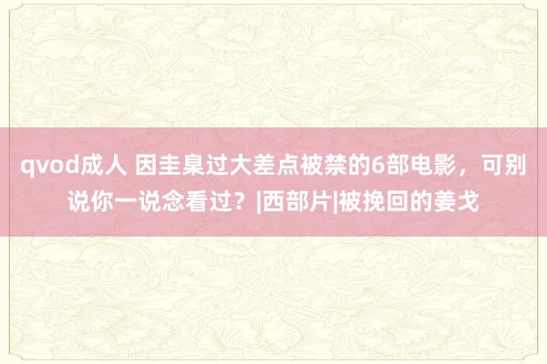 qvod成人 因圭臬过大差点被禁的6部电影，可别说你一说念看过？|西部片|被挽回的姜戈