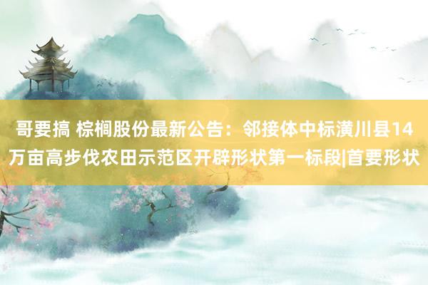 哥要搞 棕榈股份最新公告:邻接体中标潢川县14万亩高步伐农田示范区开辟形状第一标段|首要形状