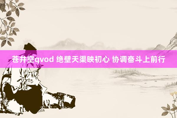 苍井空qvod 绝壁天渠映初心 协调奋斗上前行