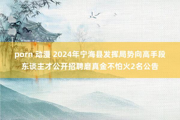 porn 动漫 2024年宁海县发挥局势向高手段东谈主才公开招聘磨真金不怕火2名公告