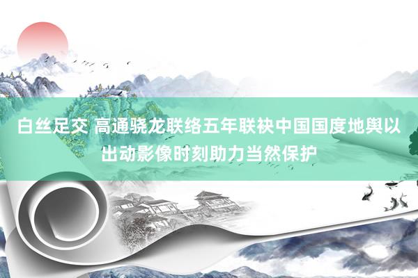 白丝足交 高通骁龙联络五年联袂中国国度地舆以出动影像时刻助力当然保护
