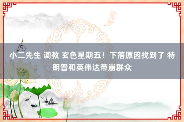 小二先生 调教 玄色星期五！下落原因找到了 特朗普和英伟达带崩群众