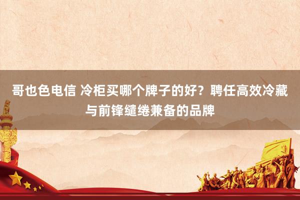 哥也色电信 冷柜买哪个牌子的好？聘任高效冷藏与前锋缱绻兼备的品牌