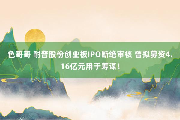 色哥哥 耐普股份创业板IPO断绝审核 曾拟募资4.16亿元用于筹谋！