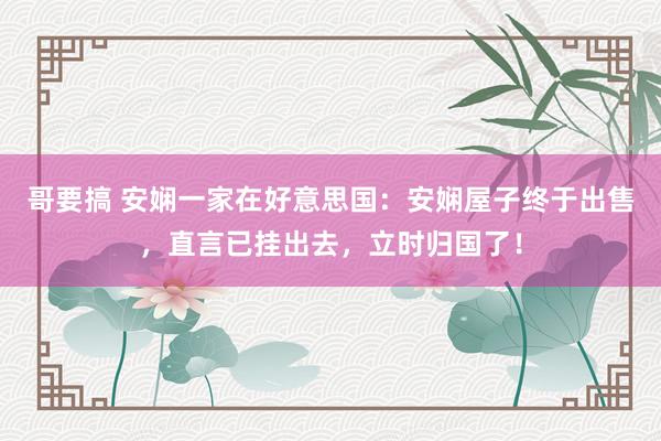 哥要搞 安娴一家在好意思国：安娴屋子终于出售，直言已挂出去，立时归国了！