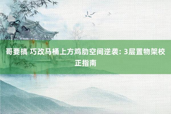哥要搞 巧改马桶上方鸡肋空间逆袭: 3层置物架校正指南
