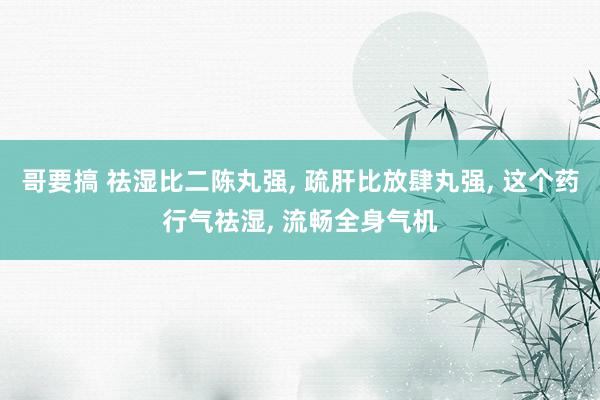 哥要搞 祛湿比二陈丸强， 疏肝比放肆丸强， 这个药行气祛湿， 流畅全身气机