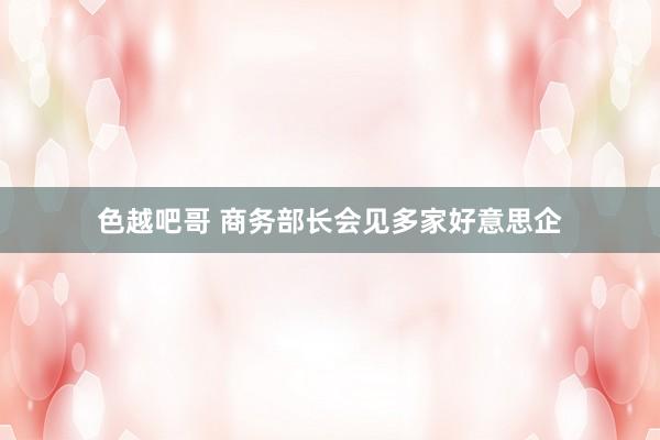 色越吧哥 商务部长会见多家好意思企